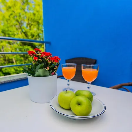 Hotel apartamentowy House Calm Forest 5 Minutes Walking From The Sandy Privlaka (Zadar)